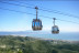 Entrada a Selwo Aventura y Teleférico Benalmádena (Málaga)