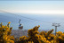 Entrada a Selwo Aventura y Teleférico Benalmádena (Málaga)