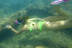Kosting: Senderismo y Snorkel con Reportaje de Fotos y Vídeo (Tarragona)