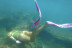 Kosting: Senderismo y Snorkel con Reportaje de Fotos y Vídeo (Tarragona)