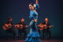 Espectáculo de Flamenco Tradicional (Sevilla)