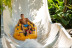 Entrada a Siam Park All Inclusive (Adeje, Tenerife)