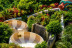 Entrada a Siam Park All Inclusive (Adeje, Tenerife)