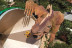 Entrada a Siam Park con Comida (Tenerife)