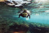 Ruta Guiada de Snorkel con Oceanógrafas (Ametlla de Mar, Tarragona)