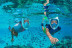 Salida de Snorkel con Clase de Identificación de Especies (Barcelona)