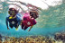 Salida de Snorkel con Clase de Identificación de Especies (Barcelona)