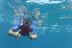 Snorkel desde Barco (Tenerife)