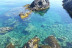 Discover Snorkel (Cabo de Palos, Murcia)
