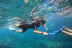 Snorkel desde la Bahía “Les Basetes” con Instructor (Calpe, Alicante)