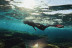 Snorkel con Fotografías (Cambrils, Tarragona)
