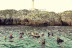 Snorkel con Fotos para dos en Isla de Mouro (Santander, Cantabria)