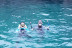 Snorkel con Fotos para dos en Isla de Mouro (Santander, Cantabria)