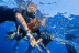 Snorkel Boat Tour en Costa Adeje (Santa Cruz de Tenerife)