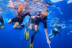 Snorkel Boat Tour en Costa Adeje (Santa Cruz de Tenerife)