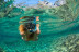 Snorkel Tour (El Arenal, Mallorca)