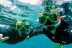 Tour de Snorkel para dos (Lanzarote)