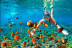 Tour de Snorkel para dos (Lanzarote)