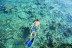 Tour de Snorkel para dos (Lanzarote)