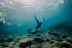 Snorkeling con Biología Marina, Fotos y Vídeos (Lloret de Mar, Girona)