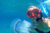 Snorkeling con Biología Marina, Fotos y Vídeos (Lloret de Mar, Girona)