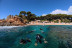 Snorkeling con Biología Marina, Fotos y Vídeos (Lloret de Mar, Girona)