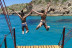 Salida en Barco con Snorkel, Buffet Mediterráneo y Música en Vivo (Palma de Mallorca)
