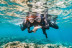 Snorkel Guiado: Explora la Costa de la Luz (Tarifa, Cádiz)