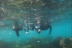Snorkel Guiado: Explora la Costa de la Luz (Tarifa, Cádiz)