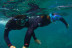 Ruta de Snorkeling en Bahía volcánica en Las Galletas (Tenerife)