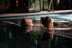 Circuito Spa en OASIS Wellness & Spa, Masaje RESET y Desayuno en SOFIA Bar & Tapas para dos en Grand Hyatt Barcelona 5* (Barcelona)