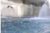 Especial Parejas: Circuito Spa y Masaje para dos en el Serena Spa del Hotel NH Collection Constanza (Barcelona)
