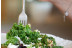 Circuito Spa y Comida o Cena en Yhi Spa del Meliá Palma Marina 4* (Palma de Mallorca)
