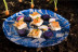 Spa y Comida en Dolce by Wyndham Barcelona Resort 4* Sup y Visita a Celler Clot de les Soleres con Cata para dos (Barcelona)