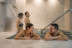 Circuito Spa y Cena para dos en Spa Catalonia Granada 4* (Granada)