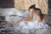 Circuito Spa y Masaje Balinés para dos en Hospes Maricel & Spa 5* (Palma de Mallorca)