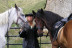 Paseo a Caballo por el Montseny con Circuito Spa y Comida en Hotel Balneario Blancafort 4* para dos (Barcelona)