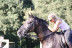 Paseo a Caballo por el Montseny con Circuito Spa y Comida en Hotel Balneario Blancafort 4* para dos (Barcelona)