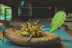 Spa Privado y Comida Gourmet para dos en Spa by SERAWA Moraira 4* (Teulada, Alicante)