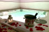 Spa Privado con Botella de Cava para dos en Akla Hotel Mérida 4* (Mérida, Badajoz)