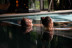 Circuito Spa en OASIS Wellness & Spa y Desayuno en SOFIA Bar & Tapas para dos en Grand Hyatt Barcelona 5* (Barcelona)