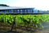 Vital Day: Wine-Spa, Tratamiento y Visita a Bodega con Cata y Degustación de Ibéricos en Valbusenda Hotel Bodega & Spa 5* (Toro, Zamora) 