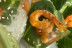 Taller de Street Food Asiático: Gyozas y Dumplings (Barcelona)