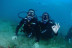 Bautizo de Buceo o Basic Diver con Fotos y Vídeos (Almería)