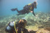 Bautizo de Buceo o Basic Diver con Fotos y Vídeos (Almería)