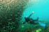 Bautizo de Buceo (Playa de Calahonda, Granada)
