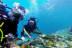 Bautizo de Buceo (Playa de Calahonda, Granada)