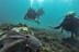 Bautizo de Buceo (Playa de Calahonda, Granada)