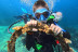 Try Scuba: Bautismo de Buceo (Ciutadella de Menorca)