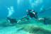 Bautismo de Buceo en Mar (Salou, Tarragona)